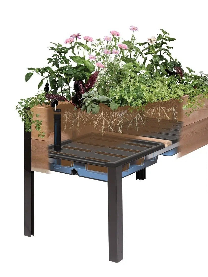 EcoStained Self-Watering Raised Planter Box with Aluminum Legs, Cedar/Cypress, 96   x24   x29