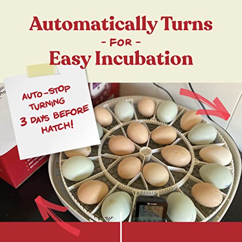 Harris Farms Nurture Right Egg Incubator for Hatching Chicks - Holds 22 Eggs