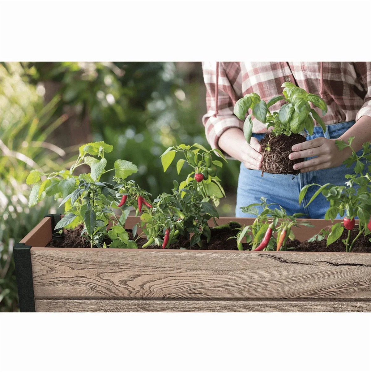 2026 NewKeter Signature Collection 29 Gal. Resin Elevated Garden Bed
