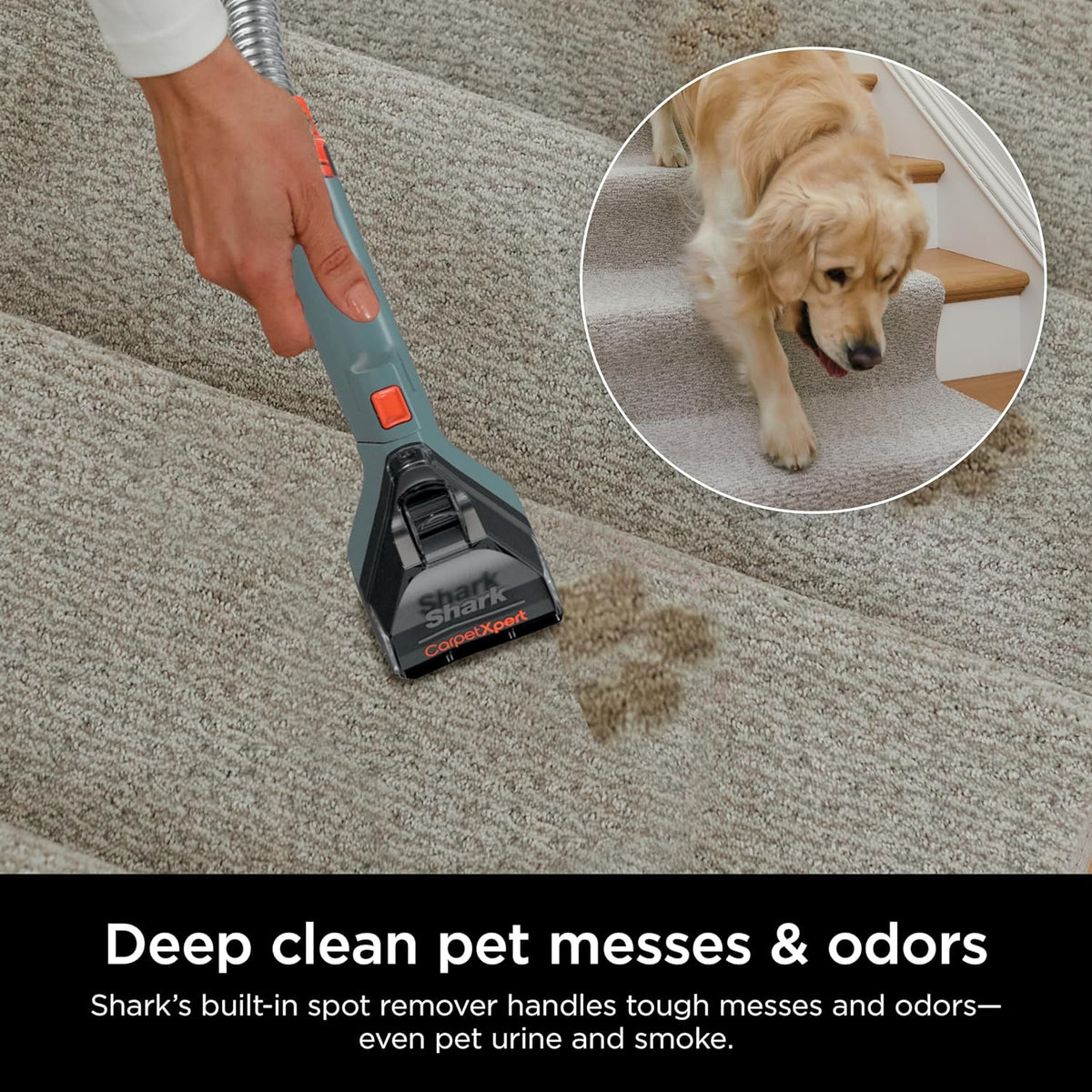 Shark CarpetXpert EX201 Carpet Cleaner, Cyan  C Deep Cleaning with StainStriker, Perfect for Pets, Includes Spot & Stain Remover Tools