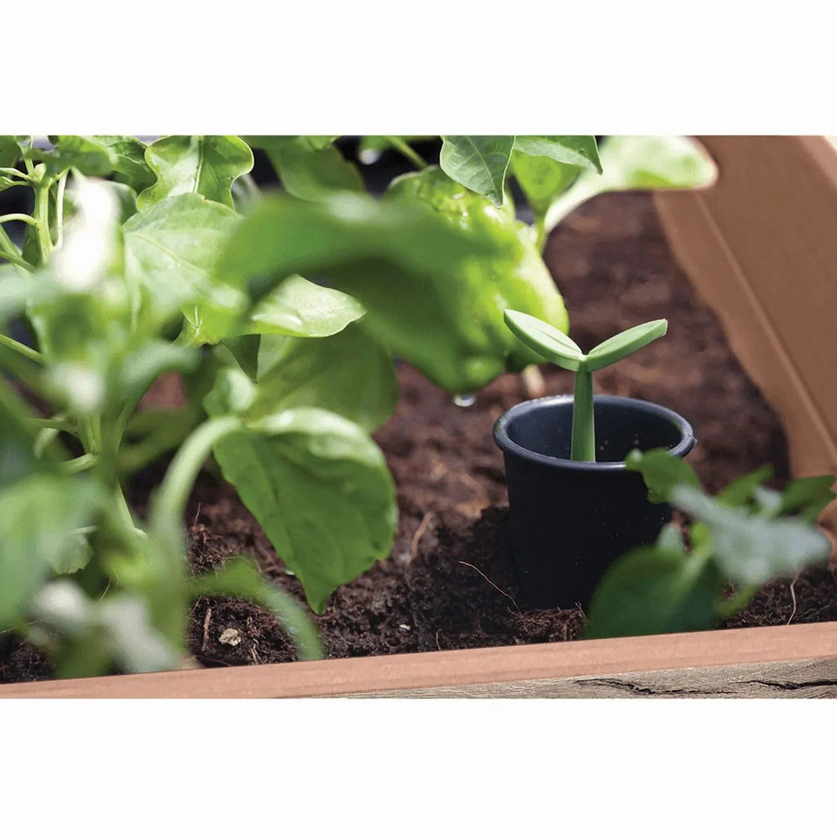 2026 NewKeter Signature Collection 29 Gal. Resin Elevated Garden Bed