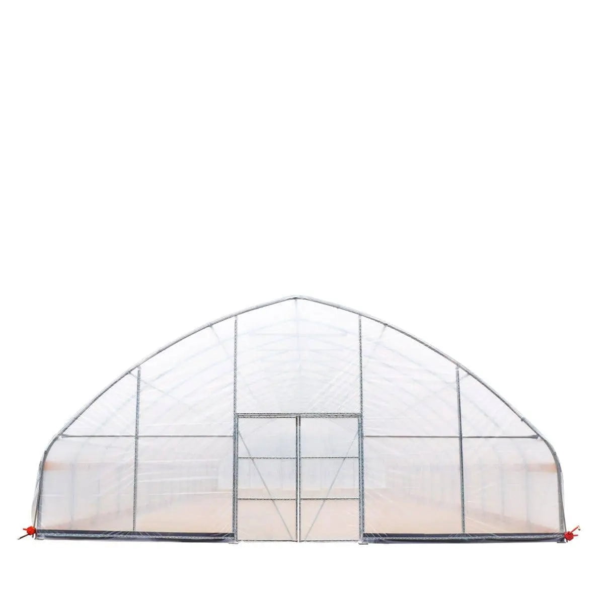 30' x 60' Commercial Tunnel Greenhouse with 6 Mil Clear Poly Covers and Roll-Up Sides TMG-GH3060