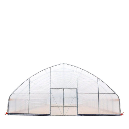 30' x 60' Commercial Tunnel Greenhouse with 6 Mil Clear Poly Covers and Roll-Up Sides TMG-GH3060