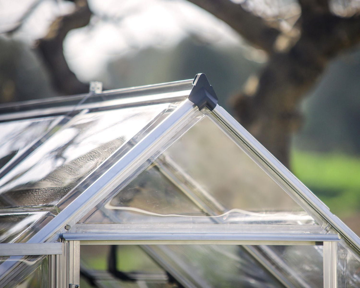 Harmony 6 ft. x 4 ft. Greenhouse Kit - Silver