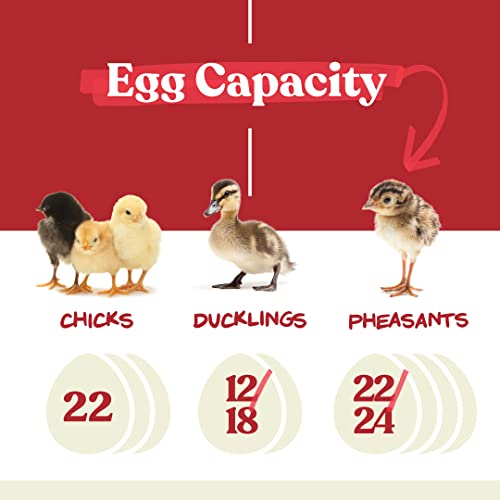 Harris Farms Nurture Right Egg Incubator for Hatching Chicks - Holds 22 Eggs
