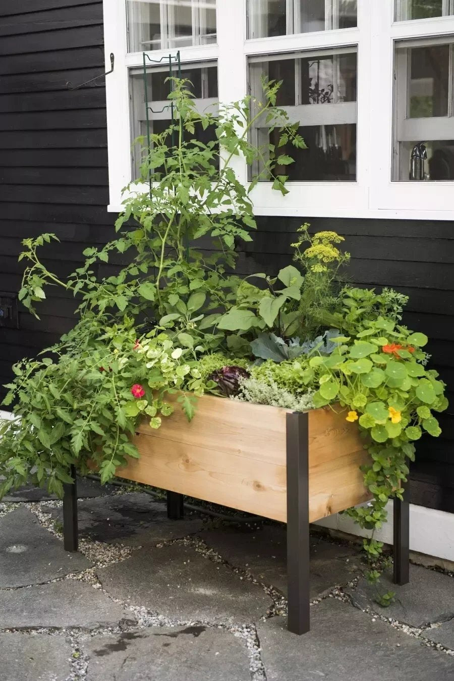 EcoStained Self-Watering Raised Planter Box with Aluminum Legs, Cedar/Cypress, 96   x24   x29