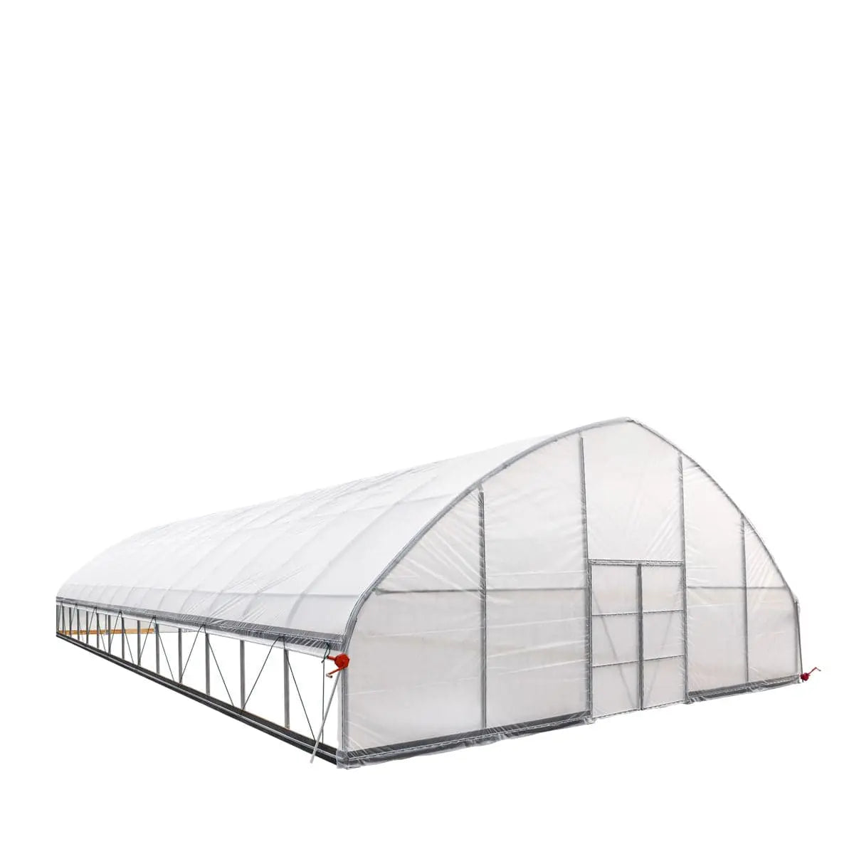 30' x 60' Commercial Tunnel Greenhouse with 6 Mil Clear Poly Covers and Roll-Up Sides TMG-GH3060