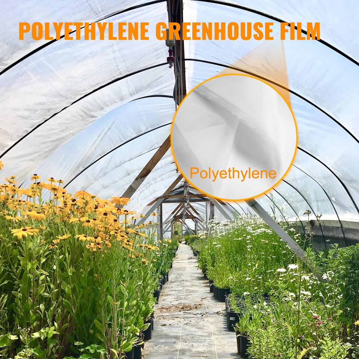 VEVOR Greenhouse Polyethylene Film 20' x 100' x 6 Mil, Greenhouse Plastic, UV Resistant, Superior Strength