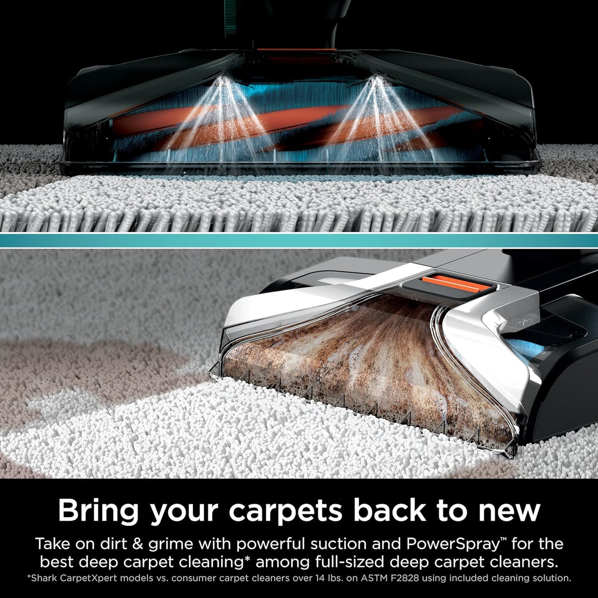 Shark CarpetXpert EX201 Carpet Cleaner, Cyan  C Deep Cleaning with StainStriker, Perfect for Pets, Includes Spot & Stain Remover Tools