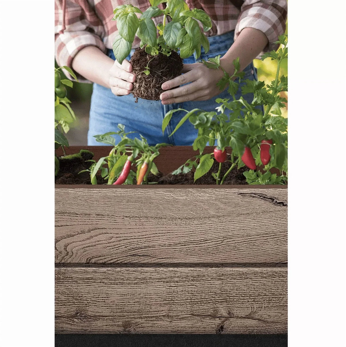 2026 NewKeter Signature Collection 29 Gal. Resin Elevated Garden Bed
