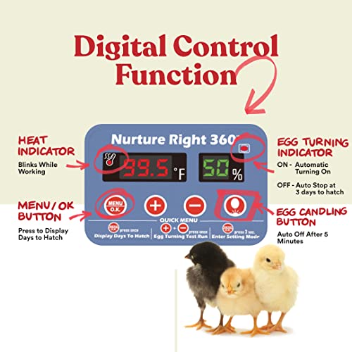 Harris Farms Nurture Right Egg Incubator for Hatching Chicks - Holds 22 Eggs