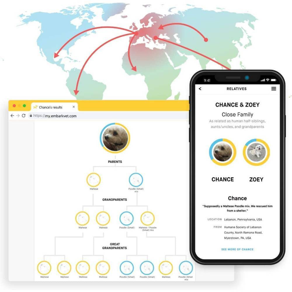 Embark Dog DNA Test, Breed Identification Kit