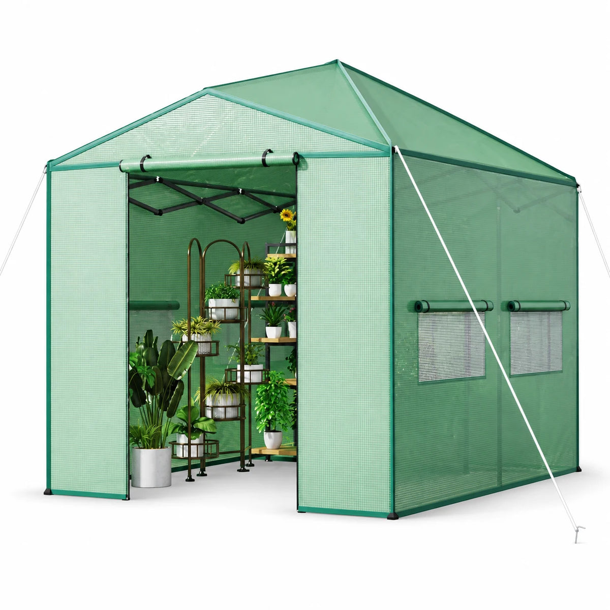 Eastvita 8 x 12 ft Portable Pop - Up Greenhouse Zippered Doors/Mesh Window Walls/Clear Green Pop - up Greenhouse