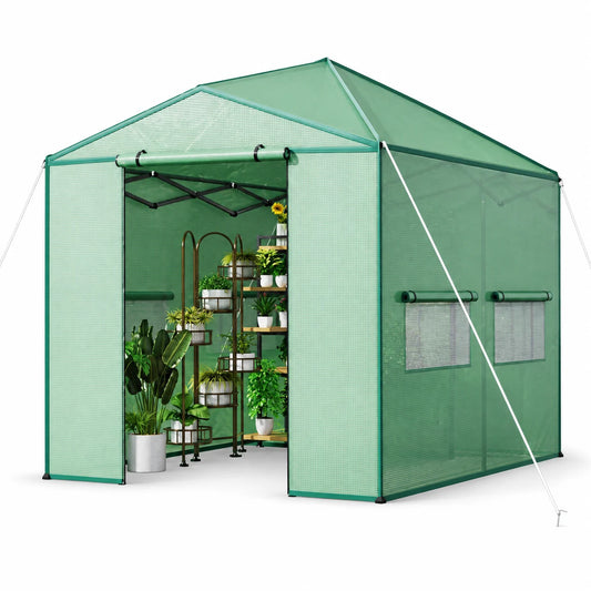 Eastvita 8 x 12 ft Portable Pop - Up Greenhouse Zippered Doors/Mesh Window Walls/Clear Green Pop - up Greenhouse